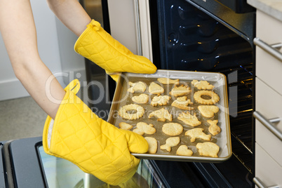 Taking cookies from oven