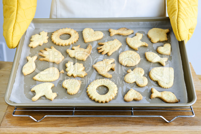 Freshly baked cookies