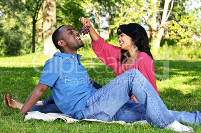 Happy couple having picnic in park