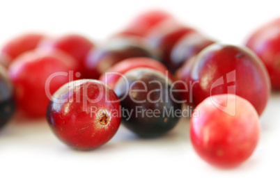 Cranberries macro