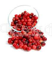 Cranberries in a bowl