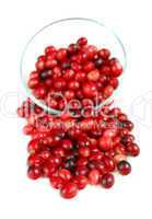 Cranberries in a bowl