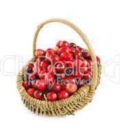 Cranberries in a basket