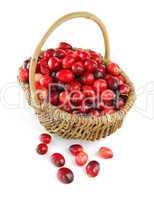 Cranberries in a basket