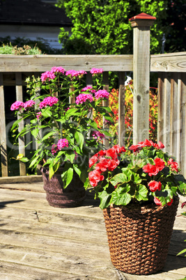 Flower pots on house deck