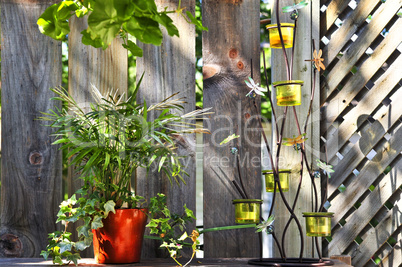 Flower pots and decorations on house deck