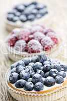 Fresh berry tarts