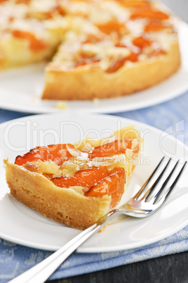 Slice of apricot and almond pie