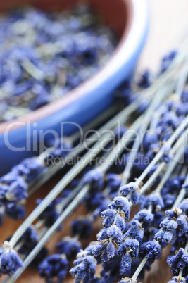 Dried lavender