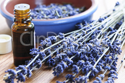 Lavender herb and essential oil