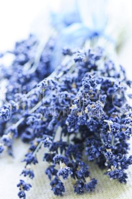 Dried lavender