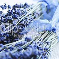 Dried lavender