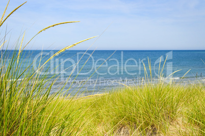 Sand dunes at beach