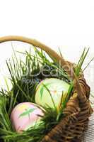 Easter eggs with green grass