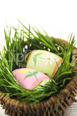 Easter eggs with green grass