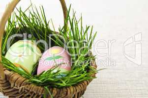 Easter eggs with green grass