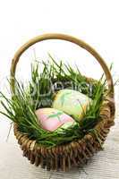 Easter eggs with green grass