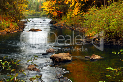 Forest river in the fall