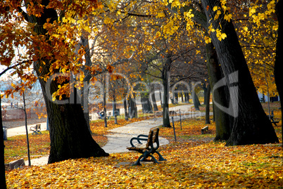Autumn park