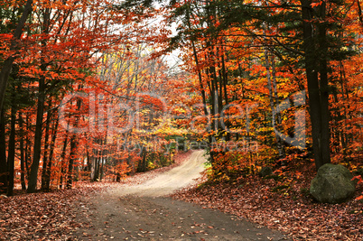 Autumn landscape with a path