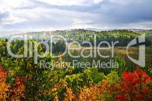 Fall forest rain storm