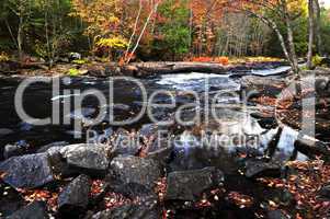 Fall forest and river landscape