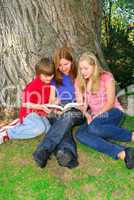 Family reading a book