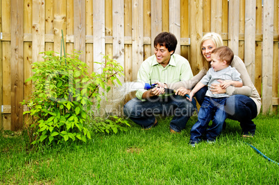Family watering plant