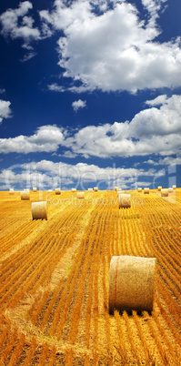 Farm field with hay bales