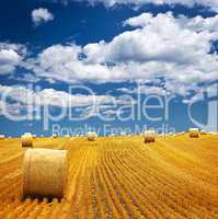 Farm field with hay bales