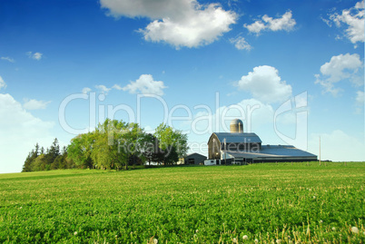 Farmhouse and barn