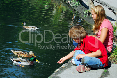 Children feeding ducks