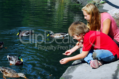 Children feeding ducks