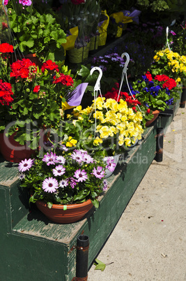 Flower baskets for sale