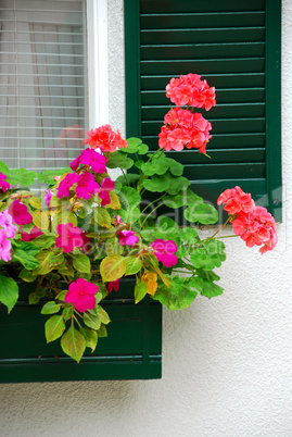 House flower box