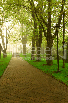 Foggy park