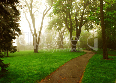 Foggy park