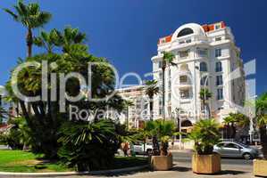 Croisette promenade in Cannes