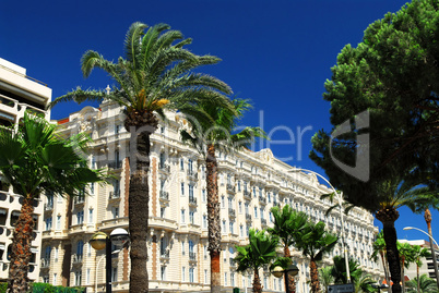 Croisette promenade in Cannes