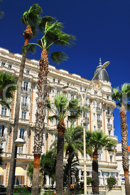 Croisette promenade in Cannes