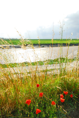 Landscape in Brittany