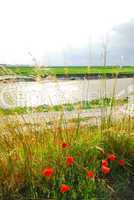 Landscape in Brittany