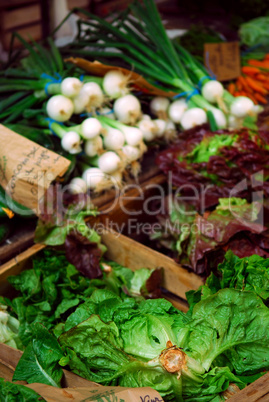 Vegetables on the market