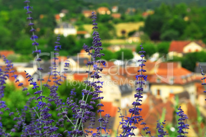 Rooftops in Sarlat, France