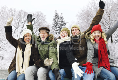 Group of happy friends outside in winter