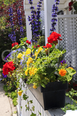 Flower box