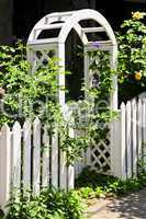 White arbor in a garden