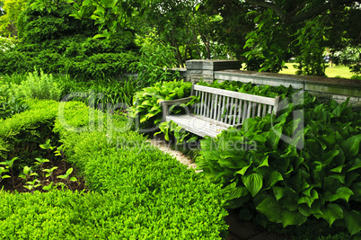 Lush green garden