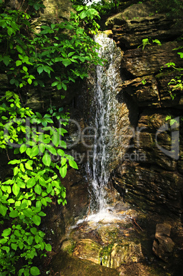 Waterfall in forest