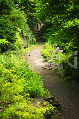 Forest path